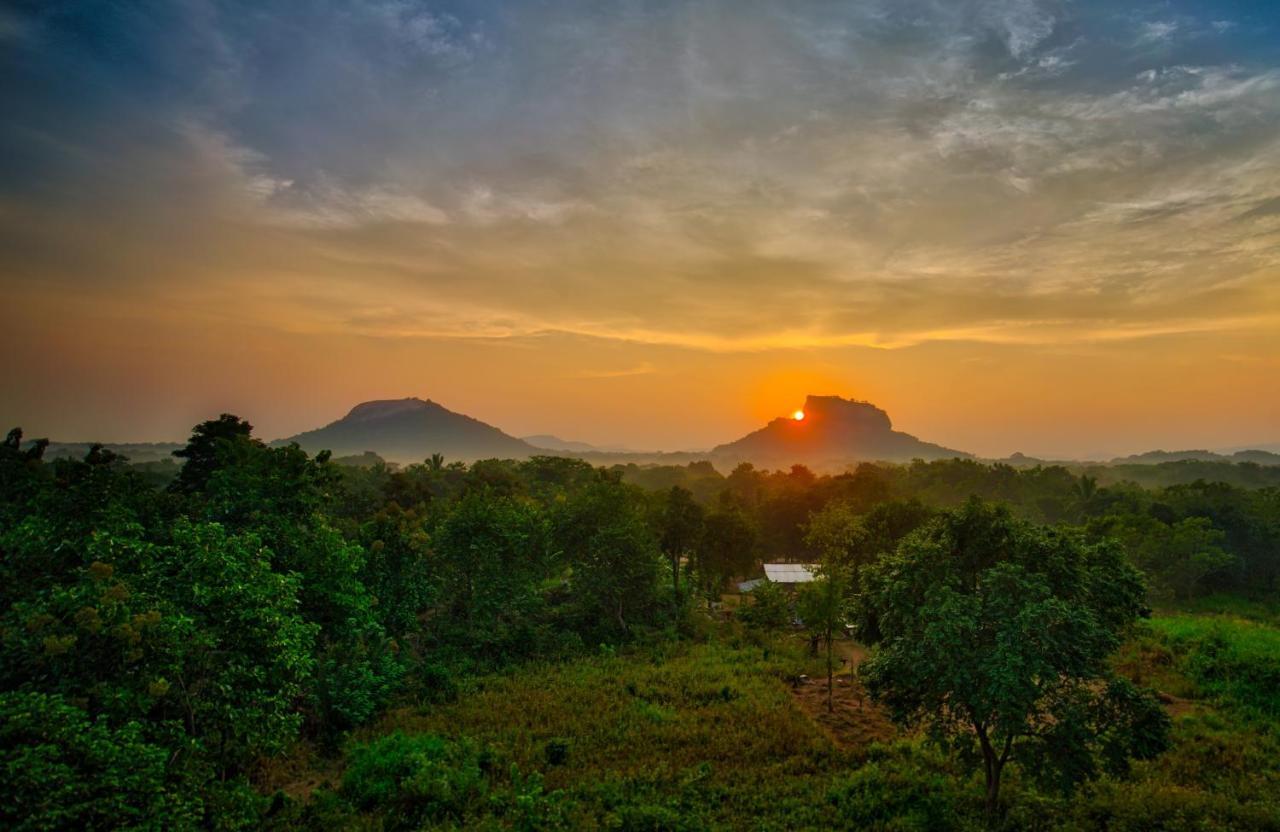 Choona Lodge 'View Of Sigiriya & Pidurangala With Sunrise' Esterno foto